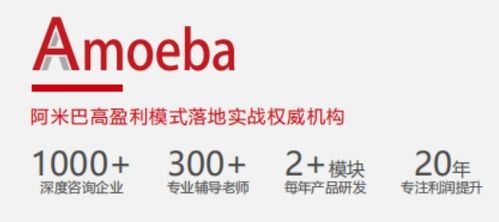 阿米巴经营 一场由比佛利管理咨询引领的企业深度变革